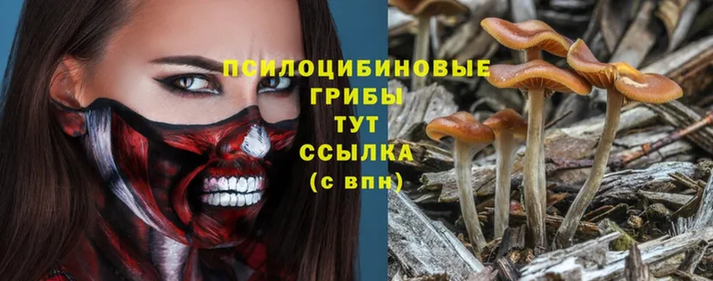 Галлюциногенные грибы MAGIC MUSHROOMS  это наркотические препараты  Татарск  продажа наркотиков 